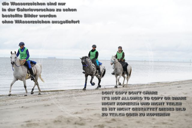 s_K3F04740.JPG